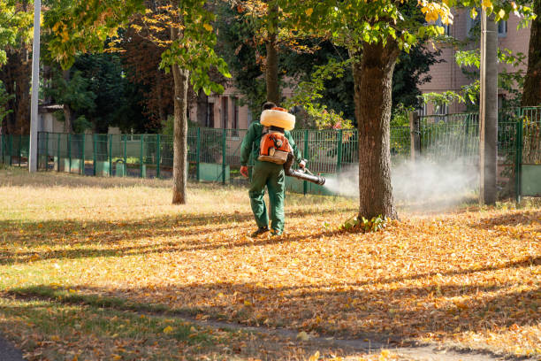 Bird Control in Ionia, MI