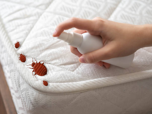 Best Affordable Pest Control Services  in Ionia, MI