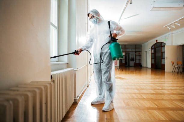 Best Pest Control for Businesses  in Ionia, MI
