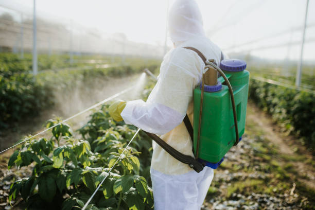 Professional Pest Control in Ionia, MI